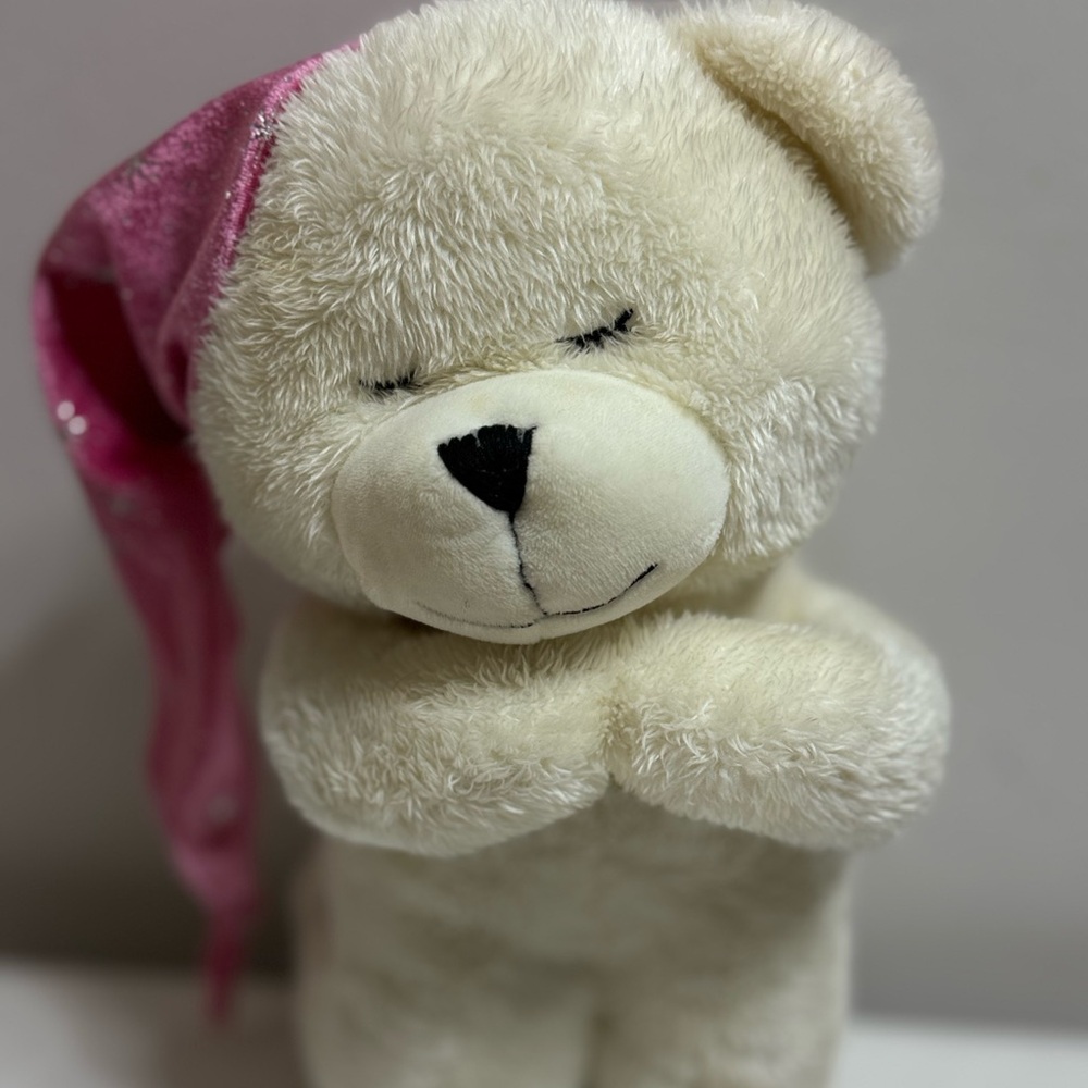 Prayer bear stuffed animal